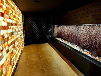 Asma Group International. Solaria. Solna Kraina. Sauny. Fitness. Spa